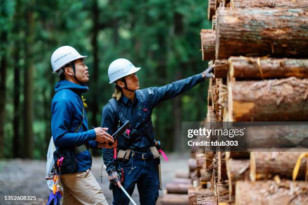 1,989 Logging Information Stock Photos, High-Res Pictures, and Images ...