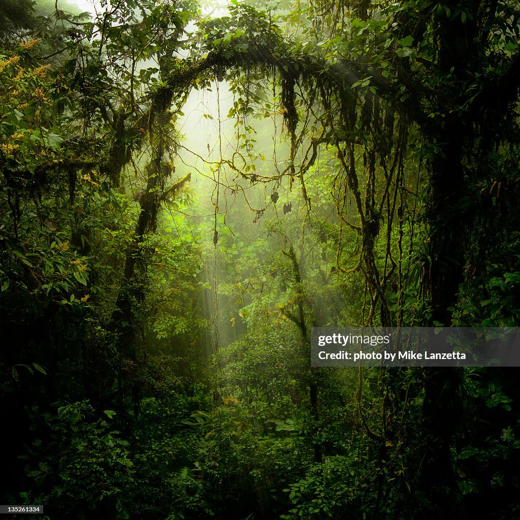 Portal