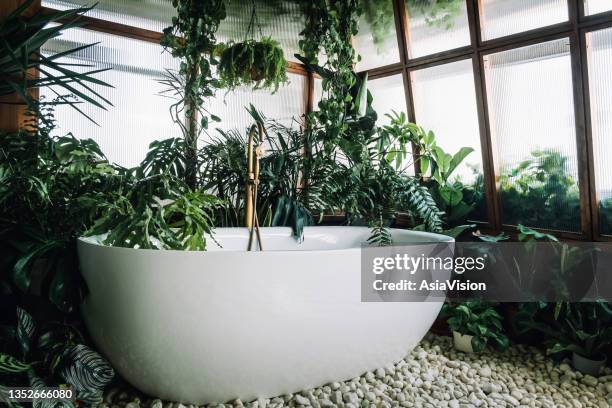 badewanne im loft-innenbad, umgeben von pflanzen - deko bad stock-fotos und bilder