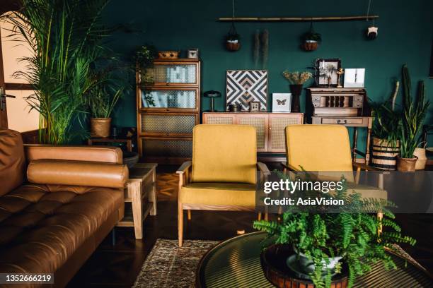 ein stilvolles wohnzimmer mit braunen und gelben möbeln und holzelementen mit dunkelgrüner wand. dekoriert mit pflanzen und schmetterlingsexemplaren - vintage elegance stock-fotos und bilder