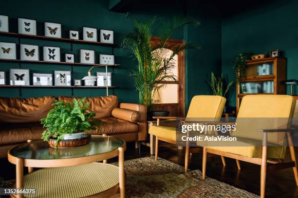 a stylish living room interior with brown and yellow coloured furniture and wooden elements with dark green coloured wall. decorated with plants and butterfly specimen - yellow sofa stock pictures, royalty-free photos & images