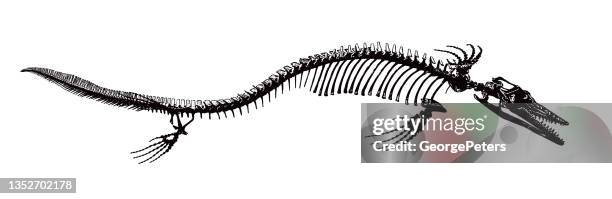 86点のモササウルスイラスト素材 Getty Images 86点のモササウルスイラスト素材 Getty Images