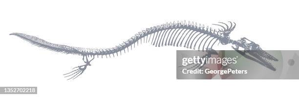 モササウルス恐竜骨格 - 骨点のイラスト素材／クリップアート素材／マンガ素材／アイコン素材