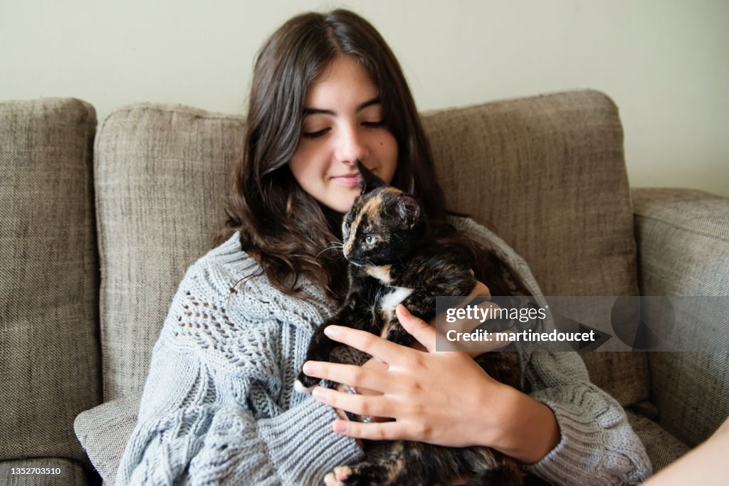 Teenage girl cuddling kitten on living room sofa.