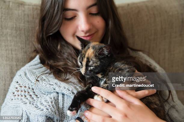 teenage girl cuddling kitten on living room sofa. - feline stockfoto's en -beelden
