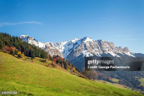 grass area and snowcapped mountains - französische alpen stock-fotos und bilder