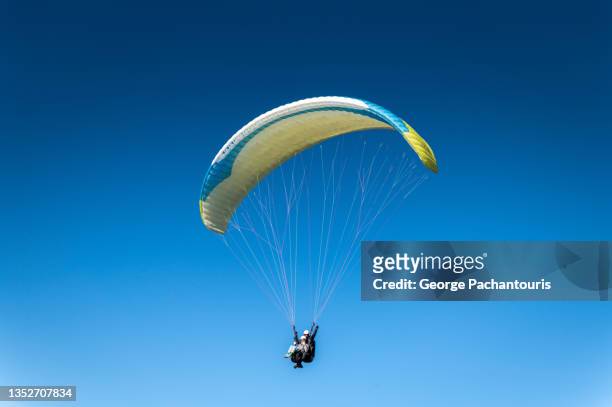 low angle view of a paraglider in the clear blue sky - hoppa fallskärm bildbanksfoton och bilder