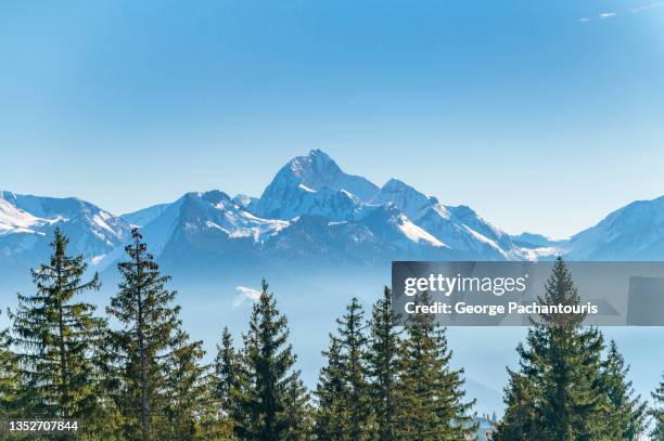 tree tops with snowcapped mountains in the distance - route sapin neige photos et images de collection