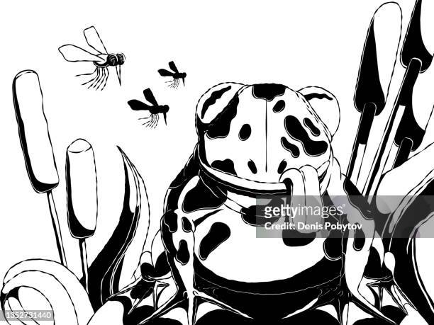 黒と白のイラスト - カエルやヒキガエルは、蚊を見て。 - ヒキガエル属点のイラスト素材／クリップアート素材／マンガ素材／アイコン素材