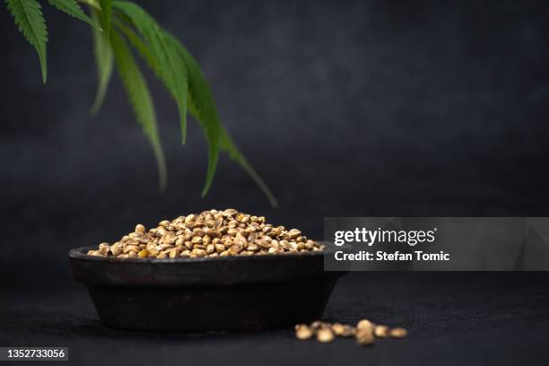 semillas de cannabis tazón negro - hemp seed fotografías e imágenes de stock