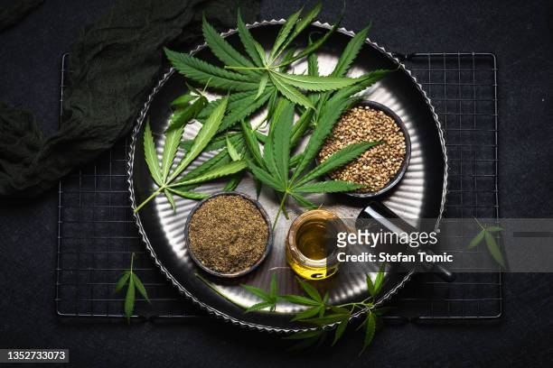 planta de marihuana con aceite de cannabis, proteína de cannabis y semillas de cannabis - cannabis oil fotografías e imágenes de stock