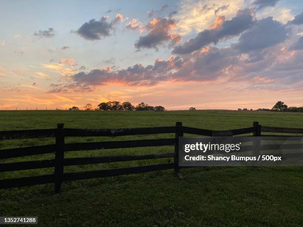 scenic view of field against sky during sunset,clarksville,tennessee,united states,usa - tennessee farm stock pictures, royalty-free photos & images