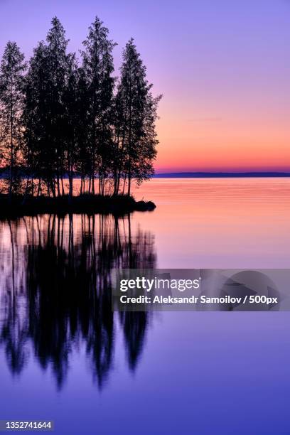 silhouette of tree by lake against sky during sunset,tampere,finland - tampere imagens e fotografias de stock
