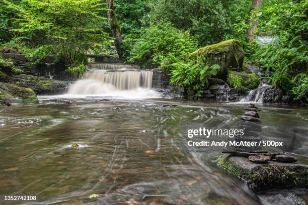 scenic view of waterfall in forest,sheffield,united kingdom,uk - sheffield united fotografías e imágenes de stock