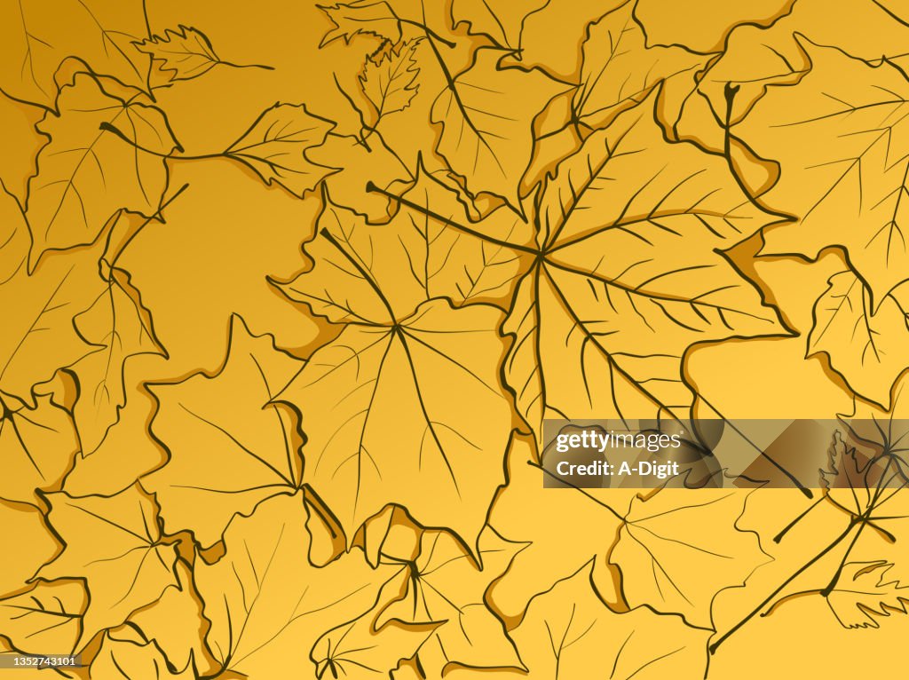 Maple Leaves On The Ground Yellow Mustard