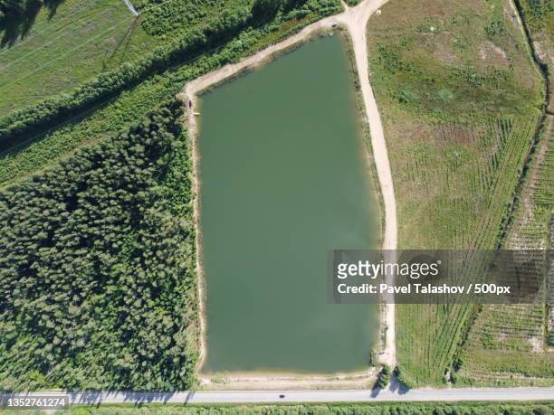 aerial view of agricultural field,lomonosovsky district,leningrad oblast,russia - pavel talashov stock-fotos und bilder