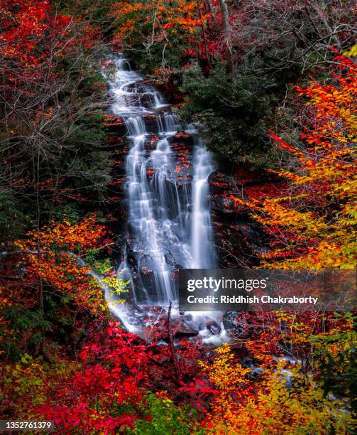 Blue Ridge Mountains South Carolina Photos and Premium High Res ...