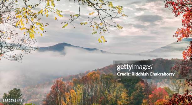 blueridge autumn - south carolina photos et images de collection