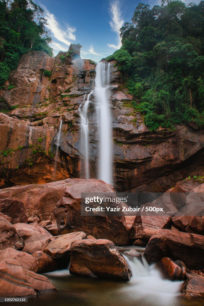 Scenic view of waterfall in forest