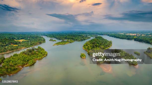 aerial view of mangrove islands - mangrove stock pictures, royalty-free photos & images