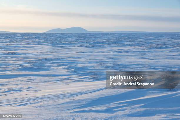 winter arctic landscape. snow-covered tundra. - russian far east stock-fotos und bilder