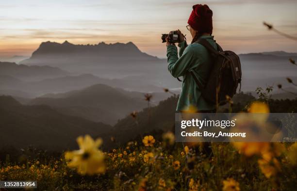 young tourist woman taking a photograph of doi luang chiang dao mountain in chiang mai province of thailand in the morning. - fotografar fotografías e imágenes de stock