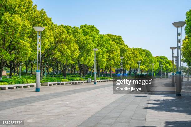 suzhou industrial park, jinji lake tourist area, woods and roads by the lake. suzhou city, jiangsu province, china. - pedestrian zone 個照片及圖片檔