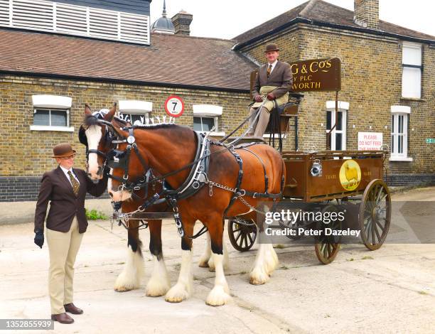 The Young and Co Shire Horse and Dray at the old Ram Brewery on September 2021 in London, England.