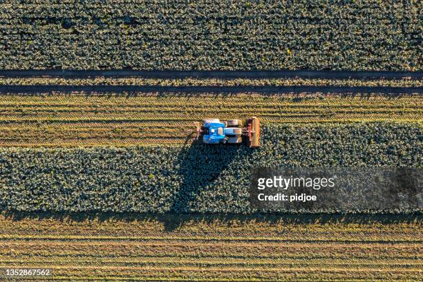 tractor cultivating field, view from above - harrow agricultural equipment stock pictures, royalty-free photos & images