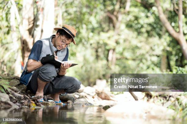 environmental conservation researchers take notes about water quality by the stream to research water quality and pollution. water pollution, prevention, and conservation. - forest scientist stock-fotos und bilder