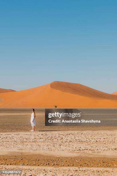 woman in dress admiring nature walking with view of the big sand dune and lonely tree in namibia - namib desert stock pictures, royalty-free photos & images