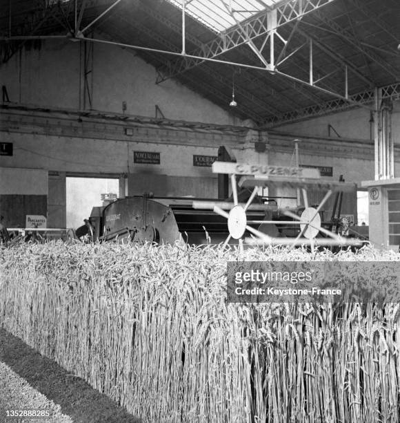 Moissonneuse-batteuse sur une parcelle de blé à l'exposition de l'agriculture française à Paris, le 4 mars 1952.