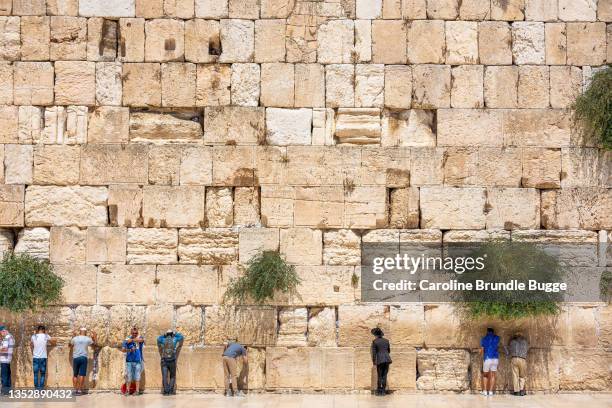 beten an der klagemauer, jerusalem, israel - klagemauer stock-fotos und bilder