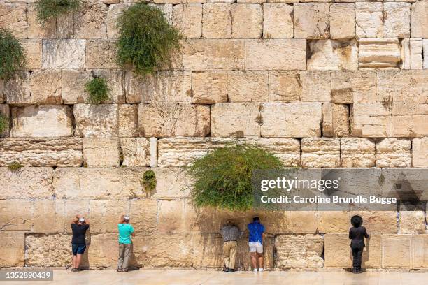 praying at the wailing wall, jerusalem, israel - templo de jerusalém imagens e fotografias de stock