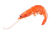Prawn or shrimp isolated on white background