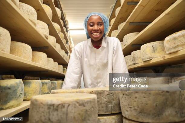 cheese maker inspecting stock - taste test stock pictures, royalty-free photos & images