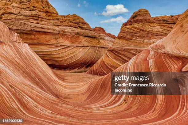 the wave rock formation, panorama in coyote buttes north, vermillion cliffs, arizona. - gesteentelaag stockfoto's en -beelden