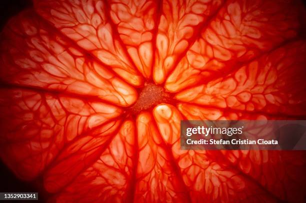 grapefruit cure closeup - peau de fruit photos et images de collection