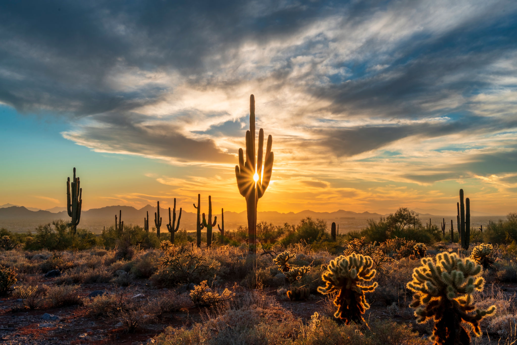 phoenix desert climate