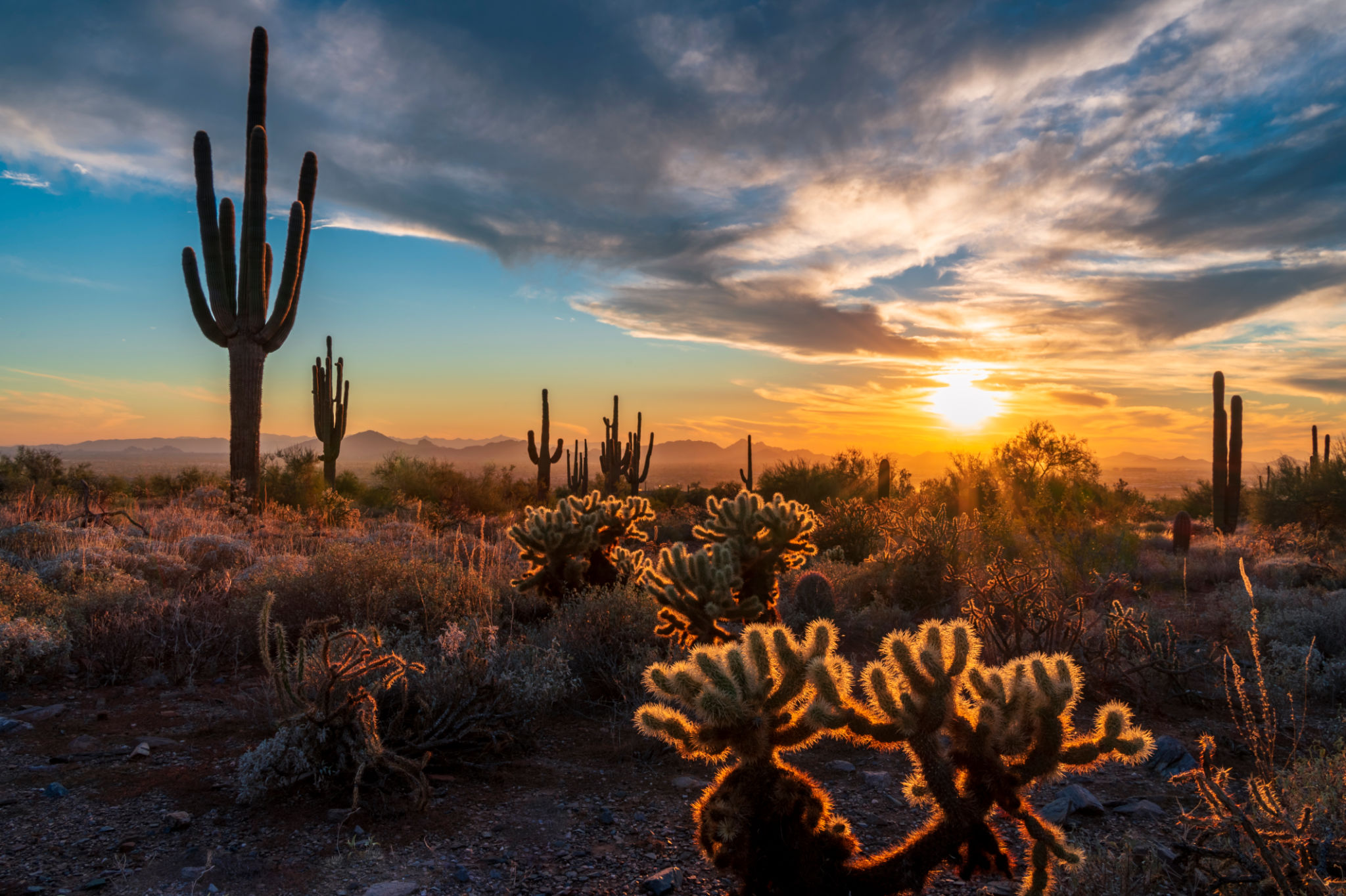 sunset desert