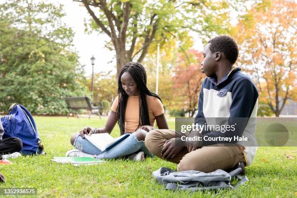 classmates reading textbooks while sitting on grass - charter school stock pictures, royalty-free photos & images