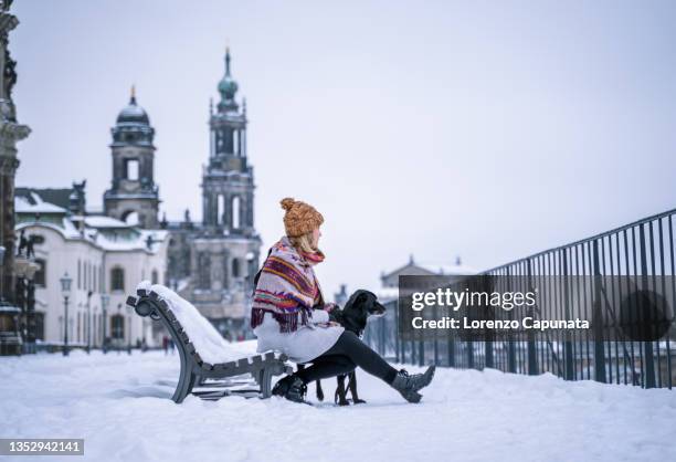 young woman, sitting on a bench, in a city full of snow, together with her dog - dresden germany fotografías e imágenes de stock