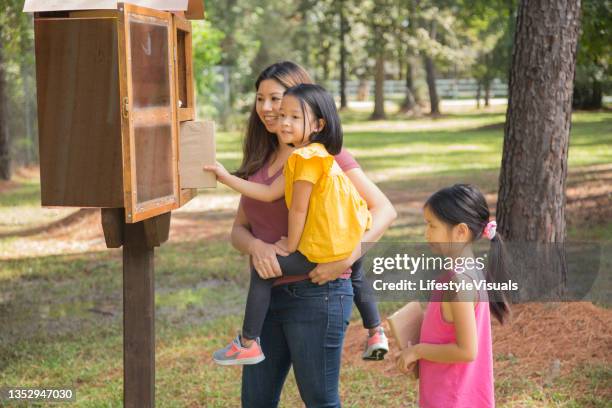pre school and kindergarten students at book sharing box located in community park.  preschool and kindergarten girls. - vrijgevigheid stockfoto's en -beelden