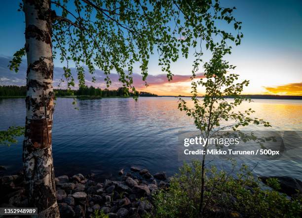 scenic view of lake against sky during sunset,suomussalmi,finland - finland summer stock pictures, royalty-free photos & images