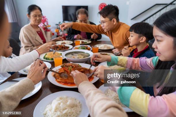 jantar de reunião de ano novo chinês - família tendo pratos tradicionais na mesa de jantar - comida china - fotografias e filmes do acervo