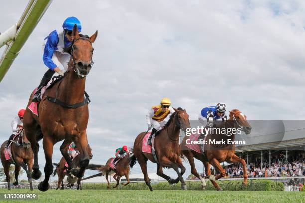 Andrew Adkins on Norwegian Bliss wins race 9 the PFD Food Services F&M Benchmark 78 Handicap during Sydney Racing at Newcastle Racecourse on November...