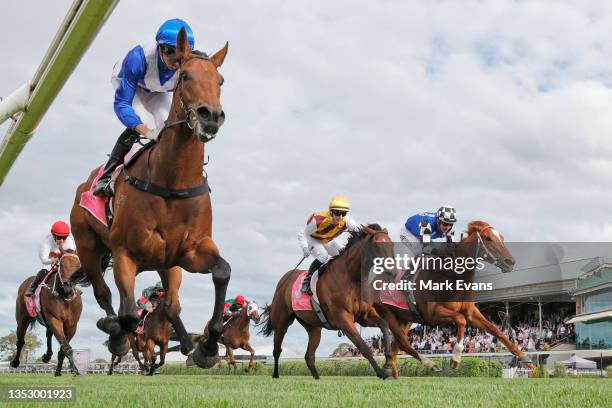 Andrew Adkins on Norwegian Bliss wins race 9 the PFD Food Services F&M Benchmark 78 Handicap during Sydney Racing at Newcastle Racecourse on November...