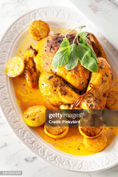 christmas or thanksgiving turkey, turkey dinner, - chicken decoration stock pictures, royalty-free photos & images