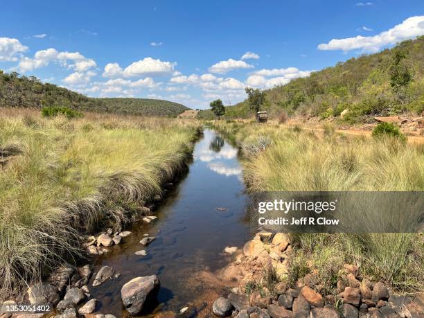 safari vehicle in south africa on photo safari - limpopo province stock pictures, royalty-free photos & images
