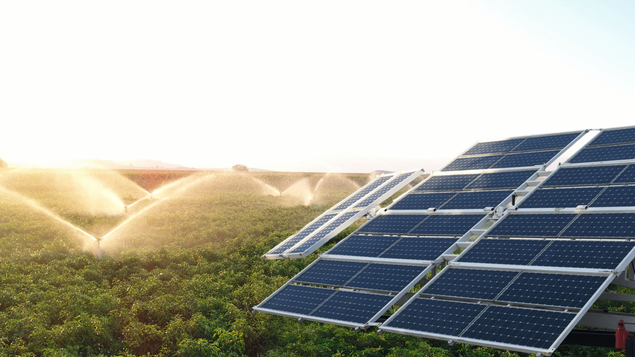 solar powered irrigation
